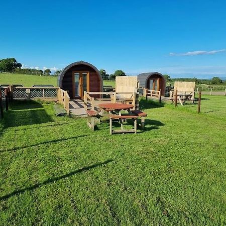 Unit 4 - Skiddaw View Camping Pod Carlisle  Buitenkant foto